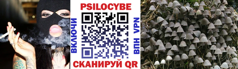 Галлюциногенные грибы прущие грибы  где продают наркотики  Волгоград 